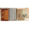 Image 1 : Chaparral Mine, Lumber, and Ranching ledger