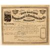 Image 1 : Big Rapids Improvements and Manufacturing Co. Stock Certificate