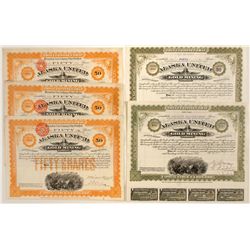 Alaska United Gold Mining Company