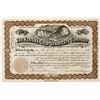 Image 1 : Alaska Gold Mining Syndicate Co. Stock Certificate