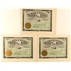 Image 1 : Three Unissued Stocks for Valdez  Hydraulic & Gold Mining Co.
