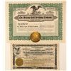 Image 1 : Arizona Mines Stock Certificates 8