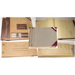 Carson Hill Gold Mines ledgers