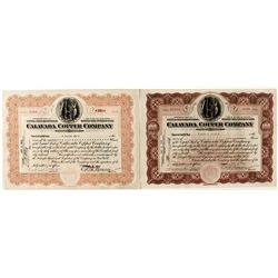 Two Calavada Copper Co. Stock Certificates