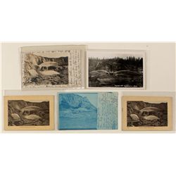 Malakoff Mine Hydraulic Postcards