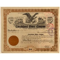 Consolidated Mines Company Stock Certificate