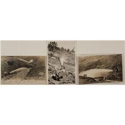 La Grange Mine Hydraulic Mining Postcards