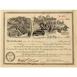 Black Wonder & West End Gold Mining Company