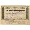 Image 1 : The Ridge Copper Co. Stock