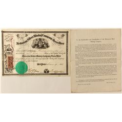 Mettacom Silver Mining Company