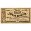 Image 1 : Central Park Mining Co. Territorial Stock Certificate