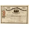 Image 1 : Davidson Copper Mining Co. Stock Certificate