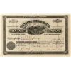 Image 1 : Cheyenne Cons. Mining Co. Territorial Stock Certificate