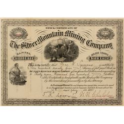 Silver Mountain Mining Company