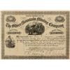 Image 1 : Silver Mountain Mining Company
