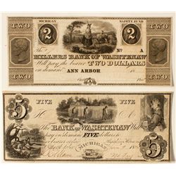 Bank of Washtenaw notes