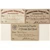 Image 1 : Cincinnati, La Fayette and Chicago Railroad Co. Passes (3)