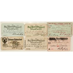 Hudson River Steamer Passes (pre-1900)