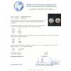 Image 10 : 18KT White Gold 7.36ctw Diamond Earrings