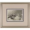 Image 1 : Eleanor Roosevelt