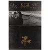 Image 1 : U2
