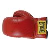 Image 1 : Mike Tyson
