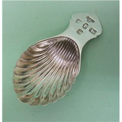 Sterling Silver Shell Shape Caddy Spoon.