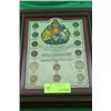 Image 1 : #9 FRAMED CANADIAN PENNY COLLECTION