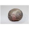 Image 1 : Dinosaur Egg