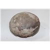 Image 4 : Dinosaur Egg