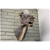 Image 1 : The Mesozoic Moosehead (Sandy)