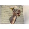 Image 2 : The Mesozoic Moosehead (Sandy)