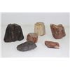 Image 1 : Lot of 6  Petrified Wood Pieces Triassic