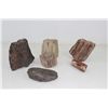 Image 4 : Lot of 6  Petrified Wood Pieces Triassic