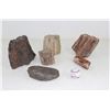 Image 5 : Lot of 6  Petrified Wood Pieces Triassic