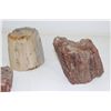 Image 6 : Lot of 6  Petrified Wood Pieces Triassic