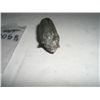 Image 2 : VINTAGE *VERY OLD* 1800'S SOLID METAL PIG FIGURINE STAMPED *MADE IN ENGLANG-PROPERTY*!!