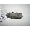 Image 3 : VINTAGE *VERY OLD* 1800'S SOLID METAL PIG FIGURINE STAMPED *MADE IN ENGLANG-PROPERTY*!!