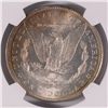 Image 3 : 1885 MORGAN SILVER DOLLAR, MS-66+ SUPER OBVERSE RAINBOW COLORS SOME ON REVERSE