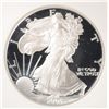 Image 2 : 2003 PROOF SILVER AMERICAN EAGLE NGC PF-70 UC