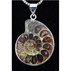 11.12GRAMS AMMONITE FOSSIL GEMSTONE SNAIL PENDANT