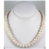 Image 2 : 283.16ct Ivory White Freshwater Pearl Necklace, 16in