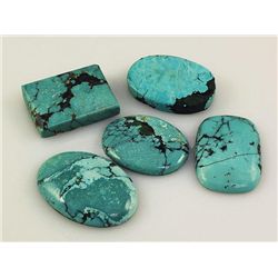 Natural Turquoise 202.75ctw Loose Gemstone Lot of 5