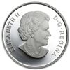 Image 1 : 2013 1 oz Silver Canadian $25 Coin - An Allegory