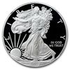 Image 1 : 2010-W (Proof) Silver American Eagle PF-69 UCAM NGC (ER