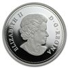 Image 1 : 2013 1 oz Silver Canadian $20 - A Story of the Northern