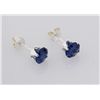 Image 2 : Sterling Silver Earring Prong Set Blue Sapphire