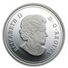 Image 1 : 2013 1 oz Silver Canadian $20 - Maple Canopy (Autumn)