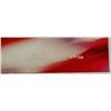 Image 2 : Peter Lik "Spirit of America" Limited Edition 18.5 x 27" Photo Art #690/950