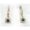 Image 1 : ALEXANDRITE RD 0.42CT,  14K Y/G EARRING 3.17GRAM / DIAMOND RD0.53CT